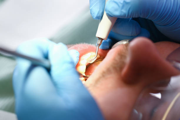  Steele Creek, AK Emergency Dentist Pros